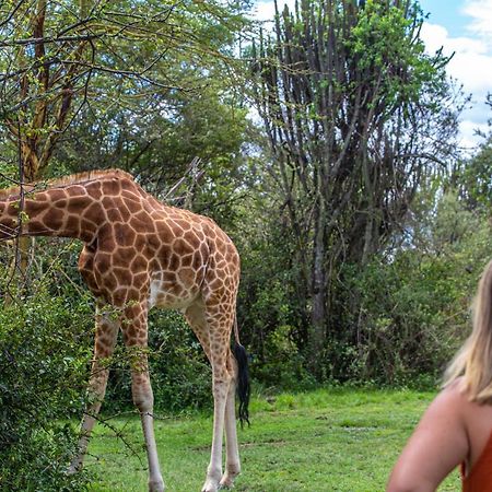 Mbweha Camp Lake Nakuru Elmenteita Luaran gambar