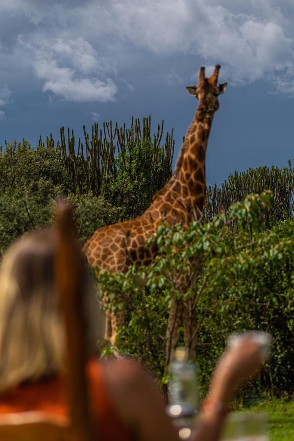 Mbweha Camp Lake Nakuru Elmenteita Luaran gambar