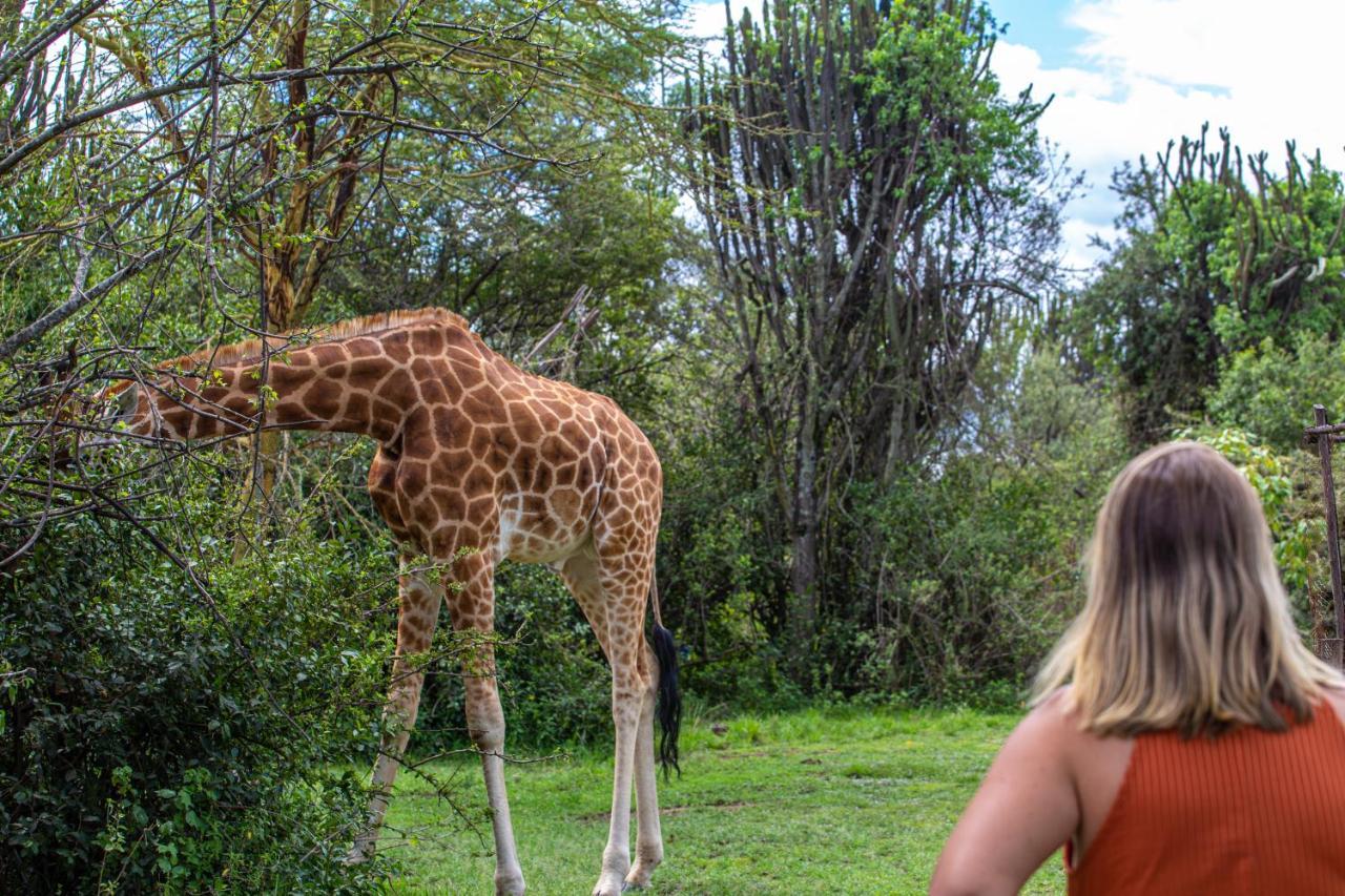 Mbweha Camp Lake Nakuru Elmenteita Luaran gambar