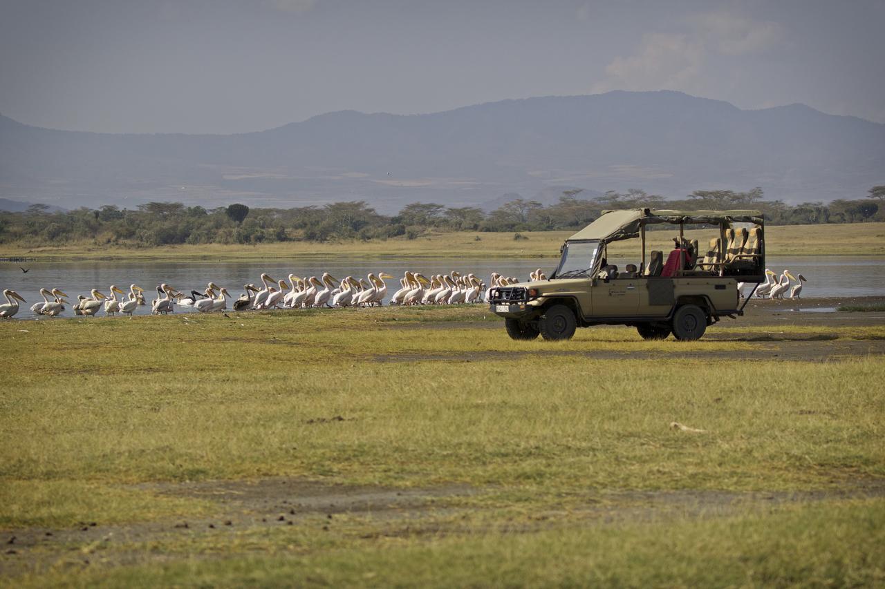 Mbweha Camp Lake Nakuru Elmenteita Luaran gambar