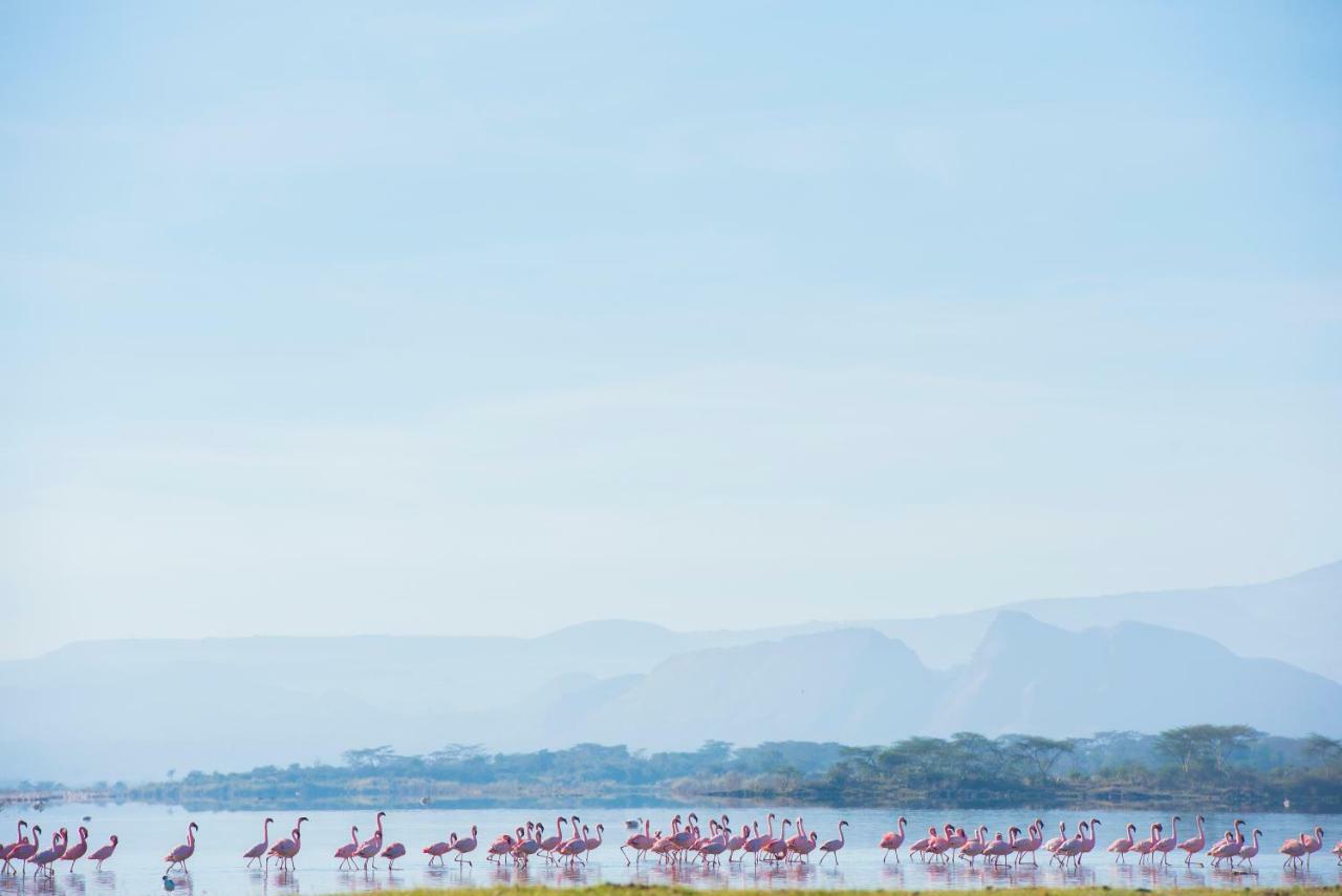 Mbweha Camp Lake Nakuru Elmenteita Luaran gambar